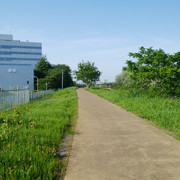 DSC-0137