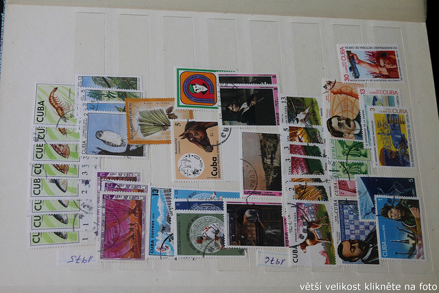 IMG-3503.jpg