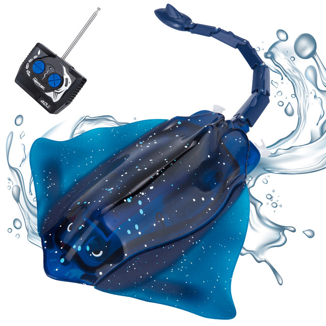 R11-Stingray-Blue.jpg