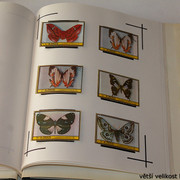 IMG-3982