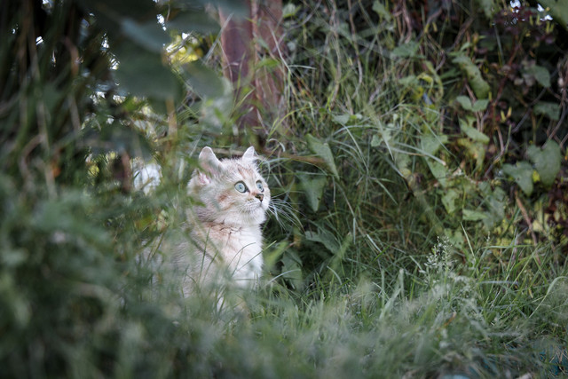 F03A7809.jpg