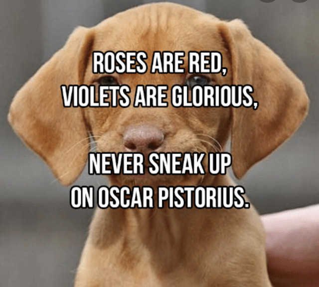 564870be1f4f.jpg