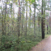 IMG-9705