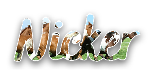 IMG-0263.png