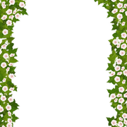 transparent-2-1