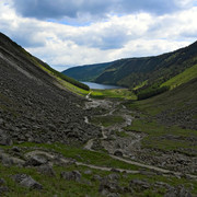 DSC-7305-800