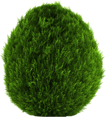 transparent-4-1-1.png
