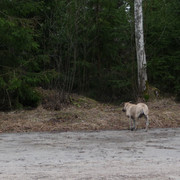 P1050125