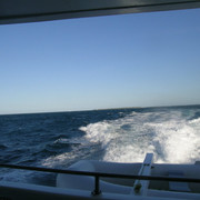 DSCN4677