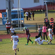 IMG-5237