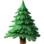 evergreen-tree-1f332
