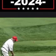 53544.gif