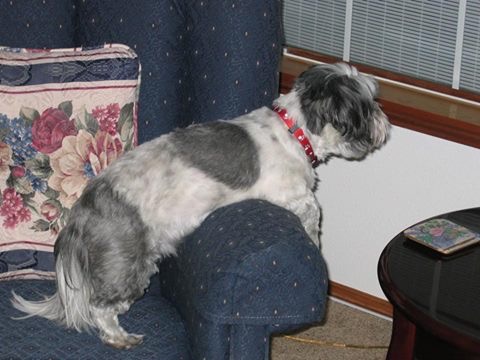 IMG-0192.jpg