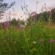 DSCF4016