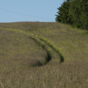 DSC9015