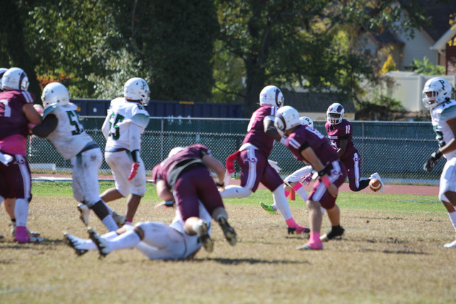 IMG-8290.jpg