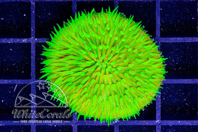 220709-104
