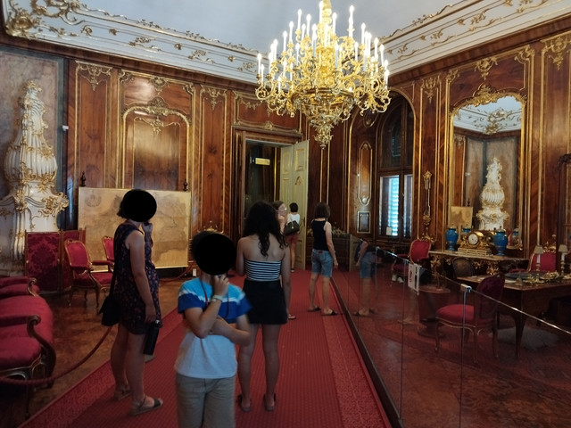DIA 10. Viena. Schönbrunn y Ring. Lunes 10 de julio - Ruta en bici del Danubio- julio 2023 (3)