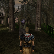 Walkthrough 38