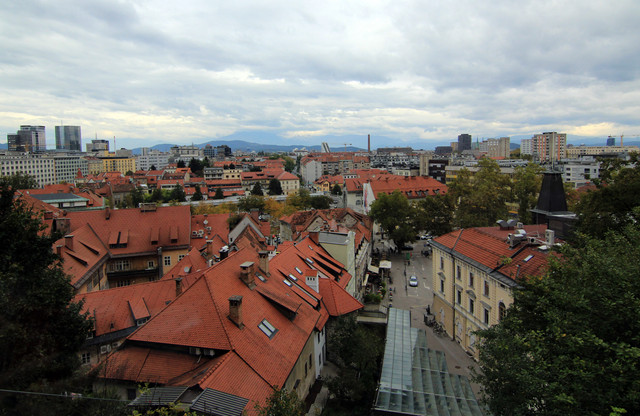 IMG-9944.jpg
