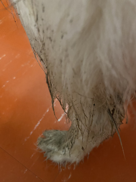 09-ECE708-687-A-4-BA3-B7-B9-5-F31-AA7117