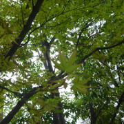 P1230886