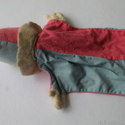 IMG-6729