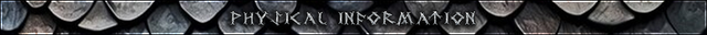 Draconic annals headers middle physical