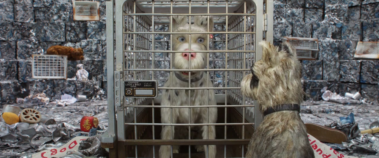 Isle of Dogs Screenshot