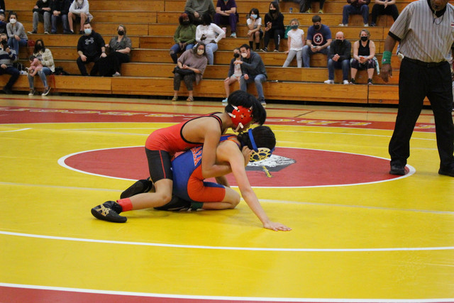 IMG-0030