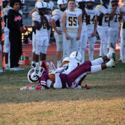 IMG-1511