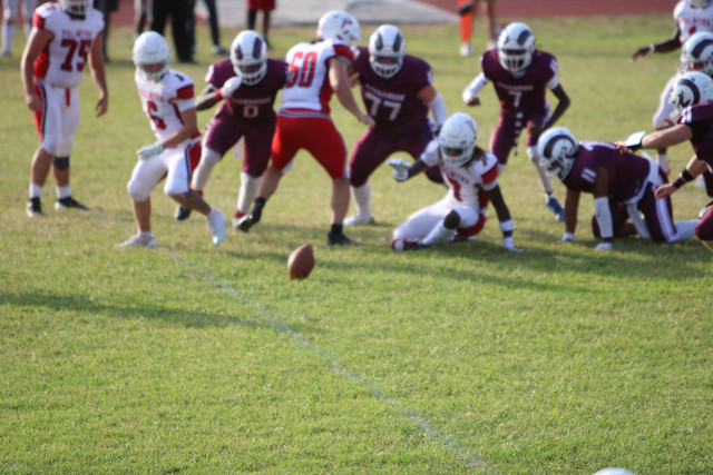IMG-2036.jpg