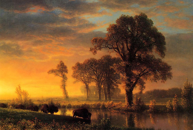 Western-Kansas-1875.jpg