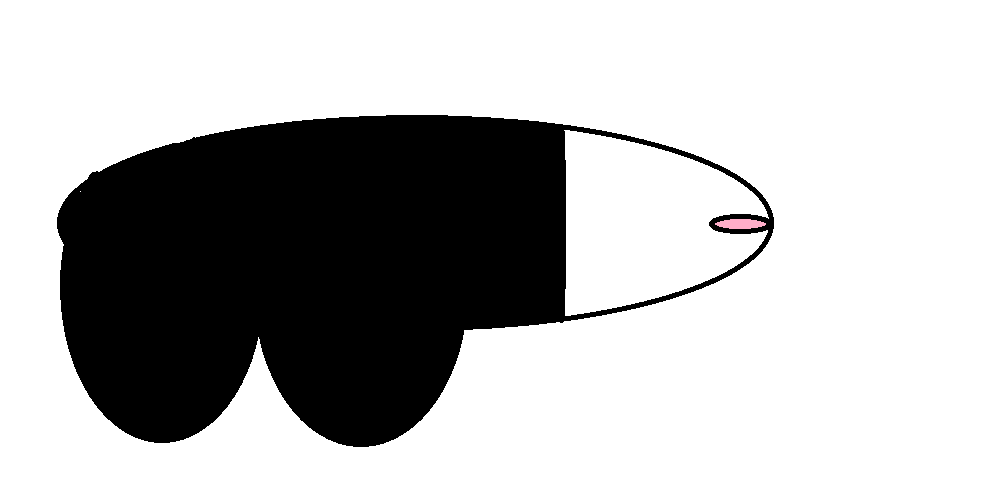 KONTOL-BEKEW.png