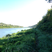 IMG-4131