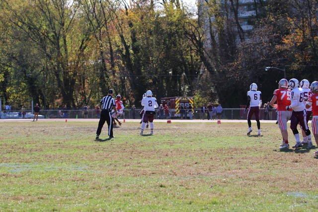 IMG-1155.jpg