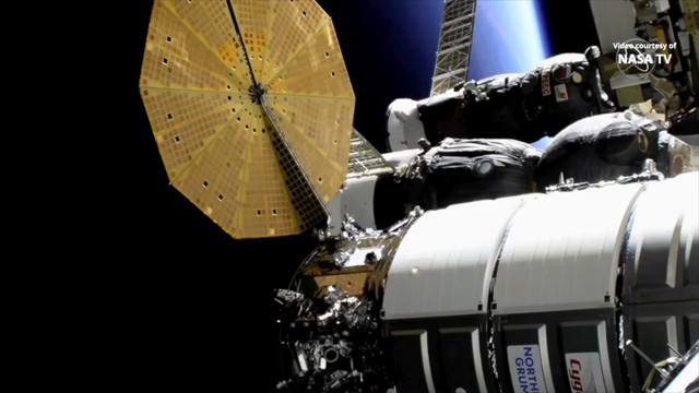progress-soyuz-cygnus.jpg