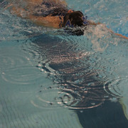 IMG-0039