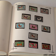 IMG-3975