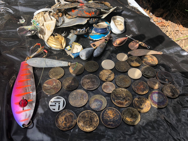 IMG 0181