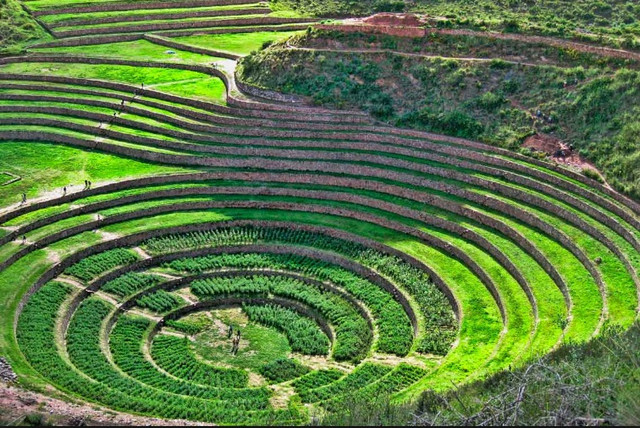 PISAC