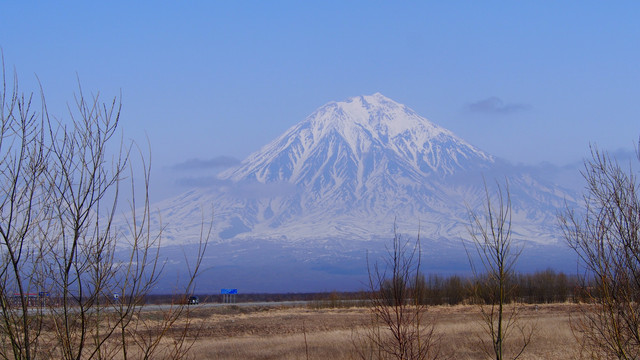OLYMPUS-DIGITAL-CAMERA
