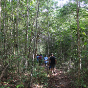 IMG-3980