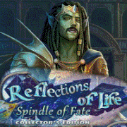 Reflectionslife11200
