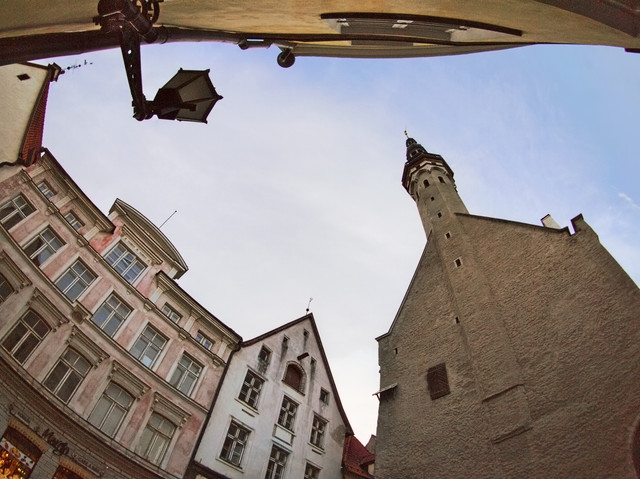 P1010953e.jpg