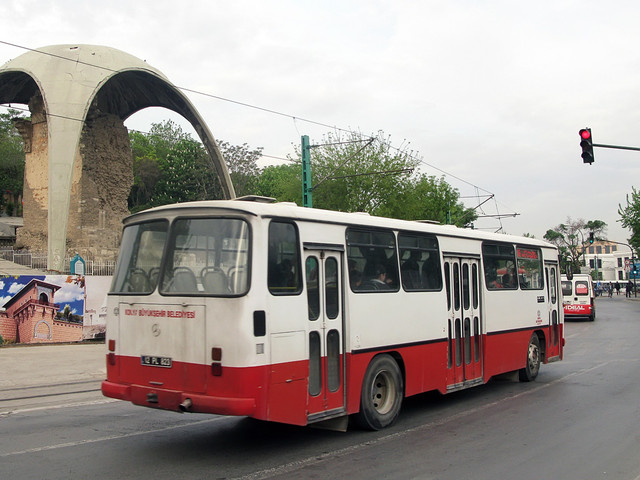 IMG-6317