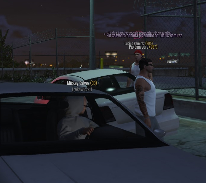 ss8.jpg