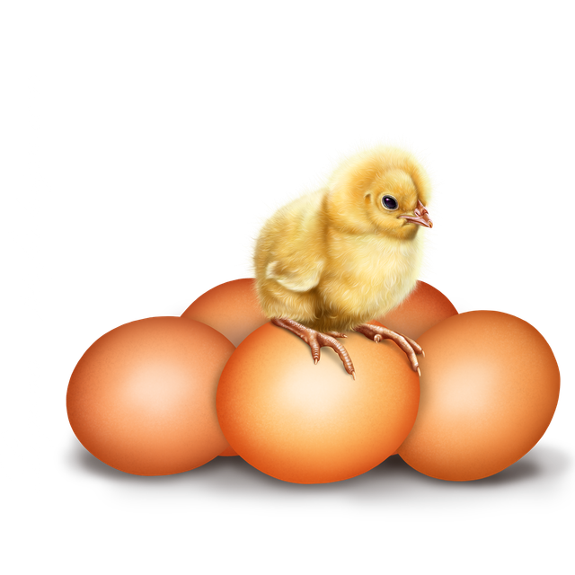 easter-fox-and-chick-4