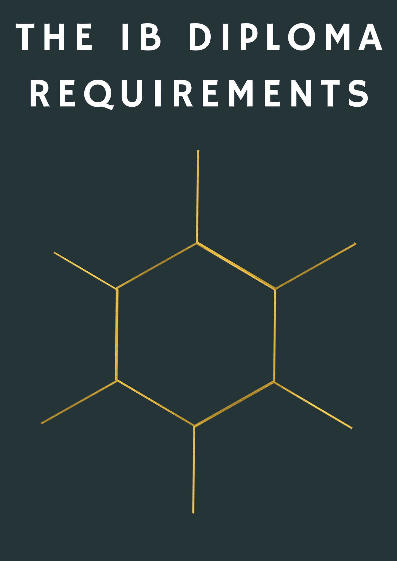 The-IB-Diploma-Requirements