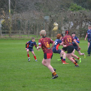 DSC 0737
